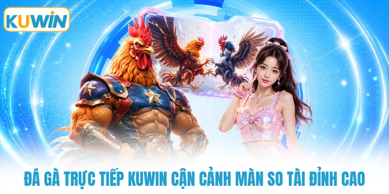 da ga truc tiep kuwin can canh man so tai dinh cao Đá gà trực tiếp KUWIN cận cảnh màn so tài đỉnh cao
